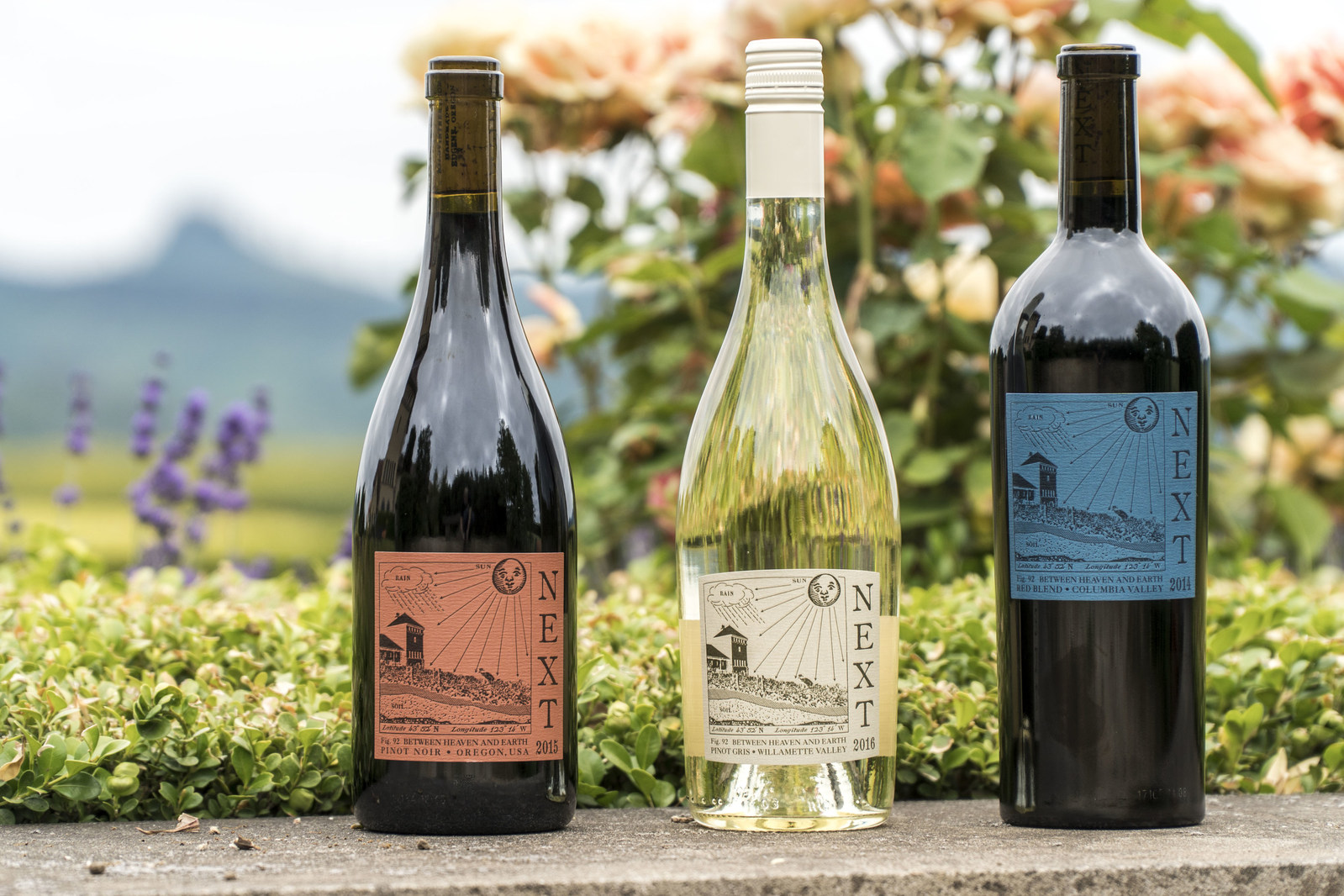 Amazon Just Launched Its Own Line of Wines