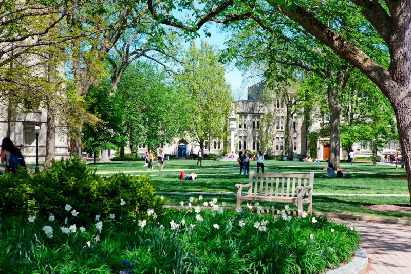 Summer greenery in the courtyard of McCosh Hall, Princeton University.