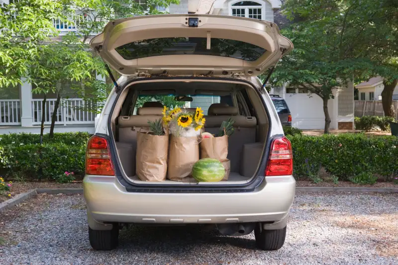 Mini-van with groceries