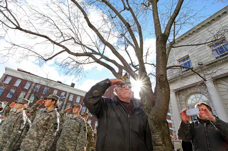 Veteran's Day parade