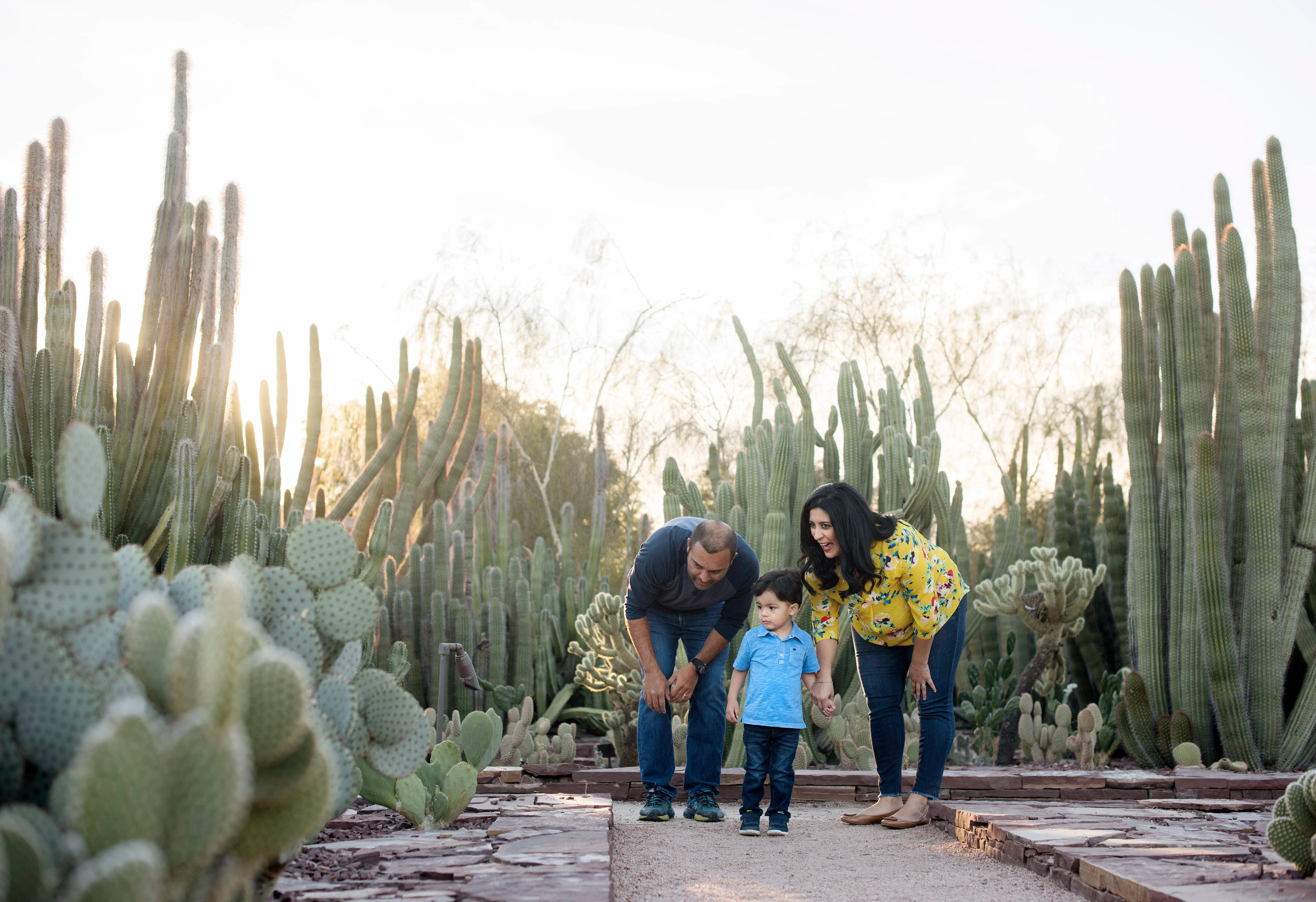 Paradise Valley, Arizona