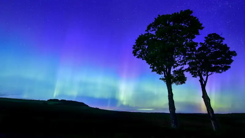 Beautiful Aurora Of The Northern Lights Captured In The US