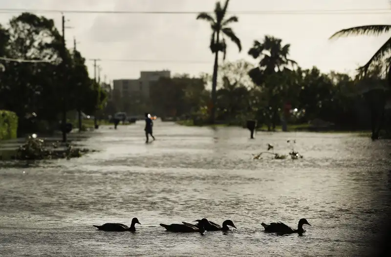 Powerful Hurricane Irma Slams Into Florida