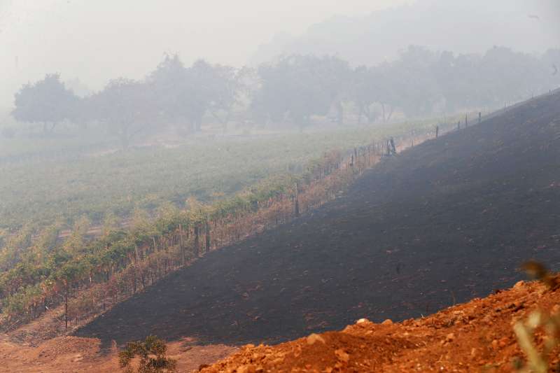 California wildfires have destroyed Signorello Vineyards in Napa, Calif., photographed here on Oct. 10, 2017.