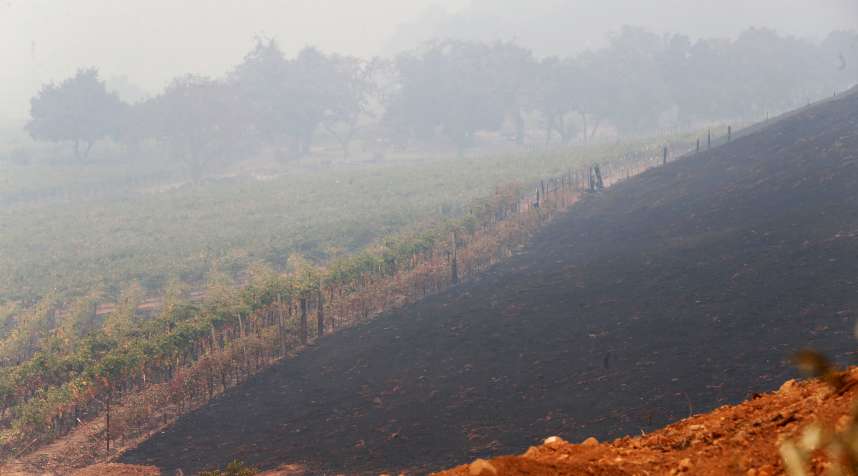 California wildfires have destroyed Signorello Vineyards in Napa, Calif., photographed here on Oct. 10, 2017.