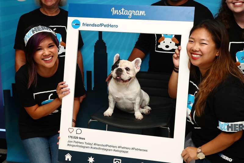 Time Inc.'s PetHero Hosts Pet Party To Benefit Animals Impacted By The Recent Hurricanes