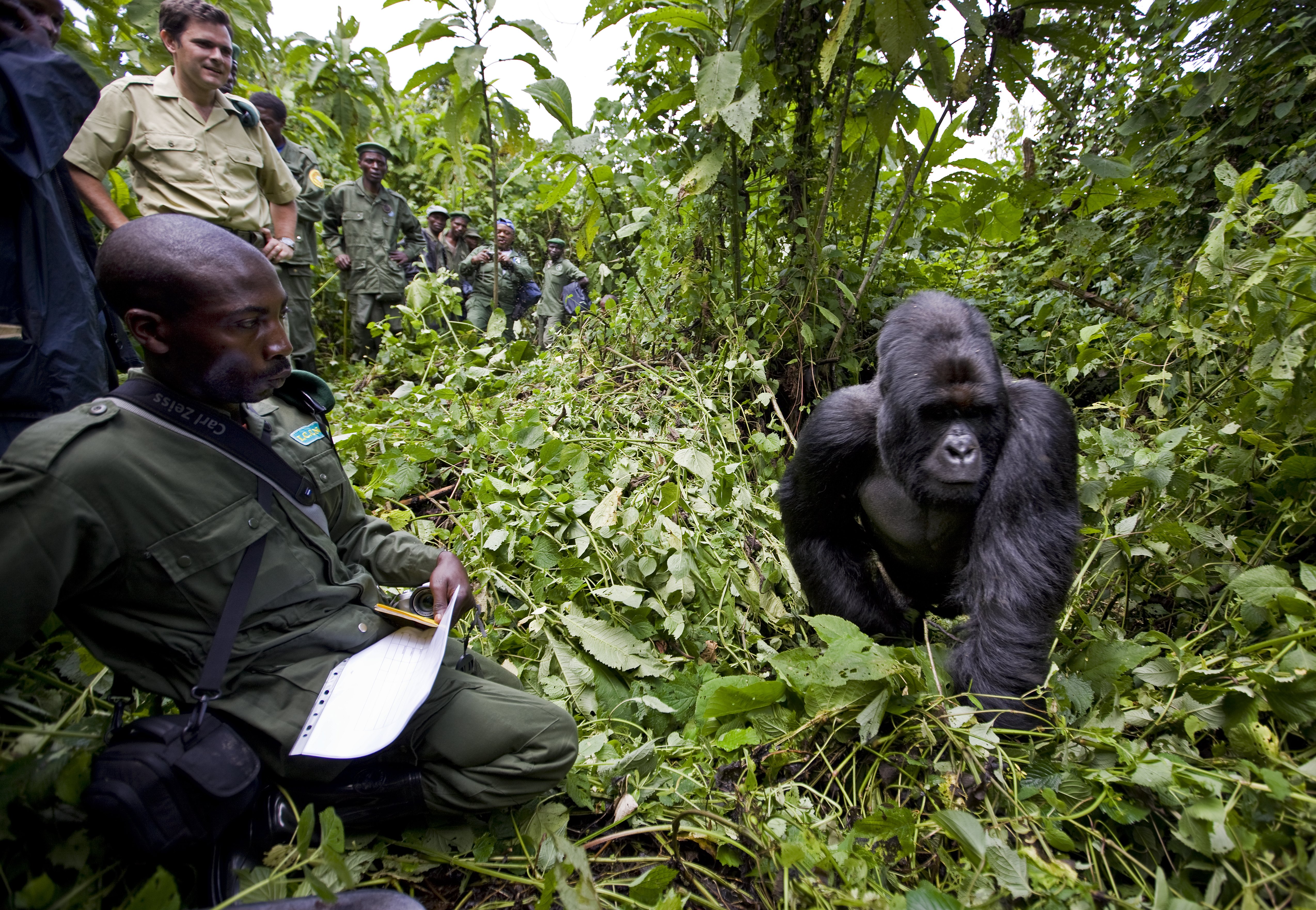 The Rangers of Virunga National Park