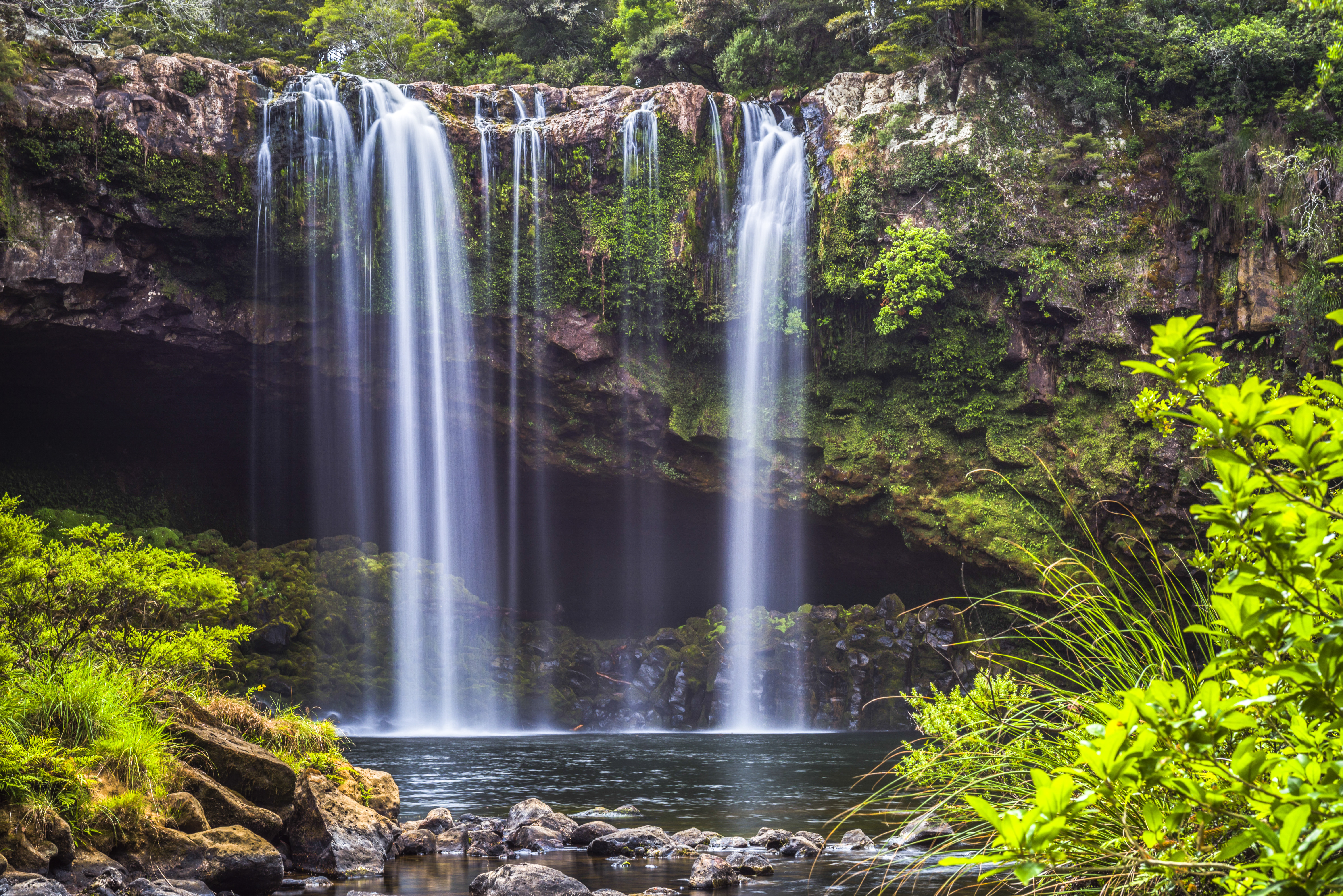 Rainbow Falls, a waterfall at Kerikeri in the Bay of Islands, Northland Region, North Island, New Zealand, Pacific