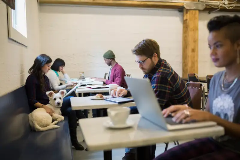 People and dogs at tables in cafes