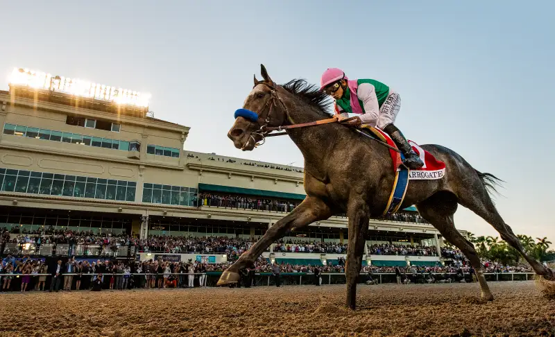 Pegasus World Cup Invitational