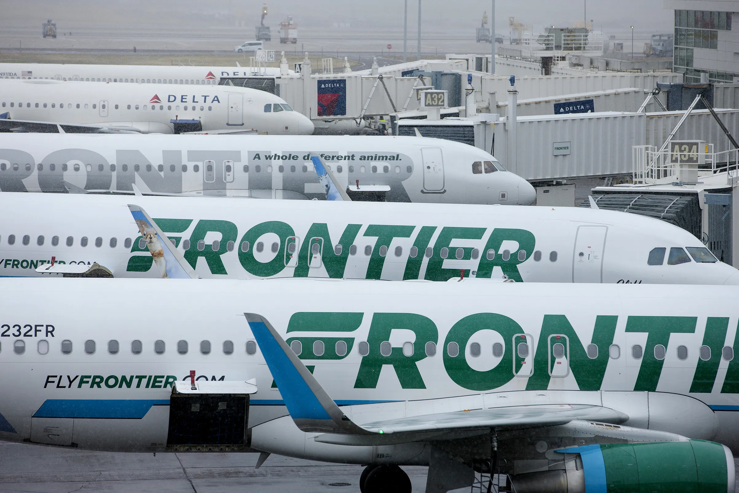 cheap-flights-frontier-airlines-flash-sale-to-miami-tampa-money