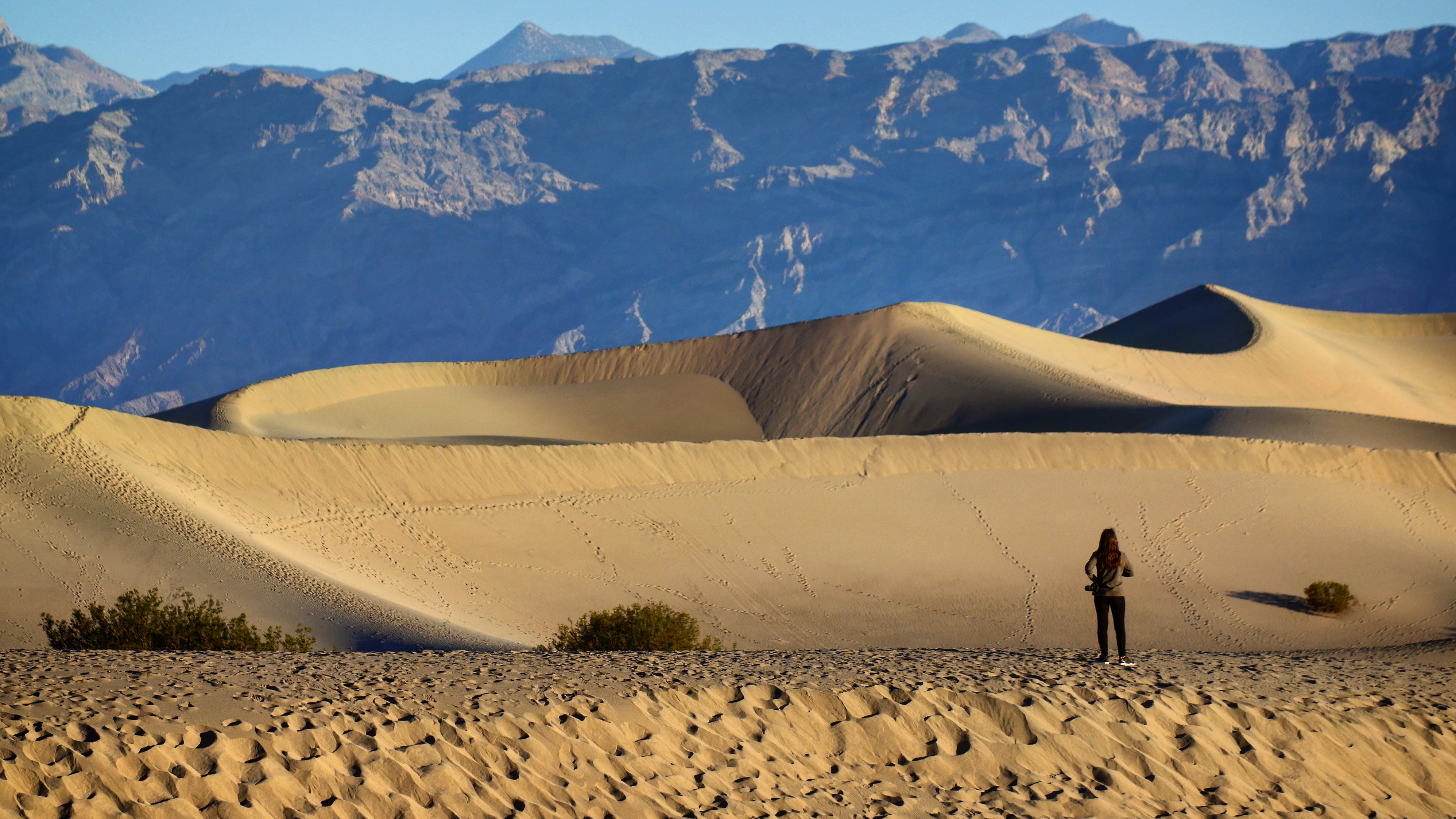Mesquite Dunes of Death Valley