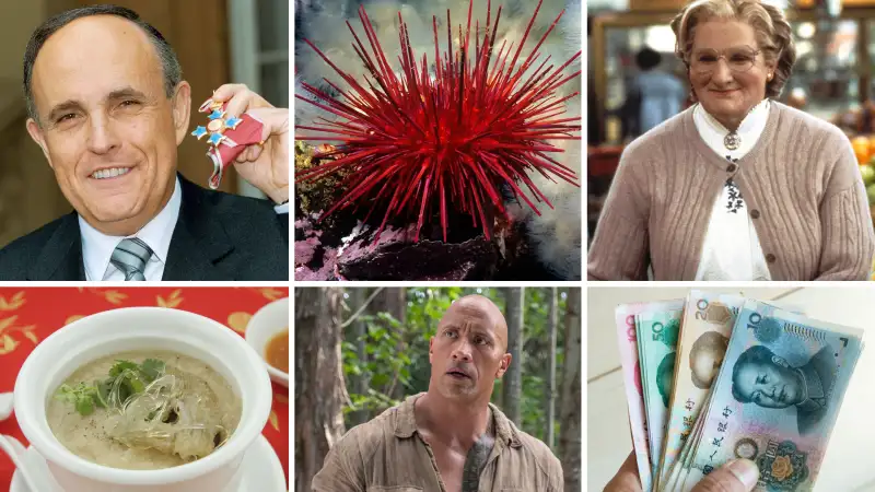 (Top, left to right) Rudolph Giuliani, Former Mayor of New York Outside Buckingham Palace after receiving an Honorary Knighthood from the Queen, Red Sea Urchin, Robin Williams as Ms. Doubtfire; (bottom, left to right) Bird's nest soup, The Rock in  Jumanji,  Renminbi.