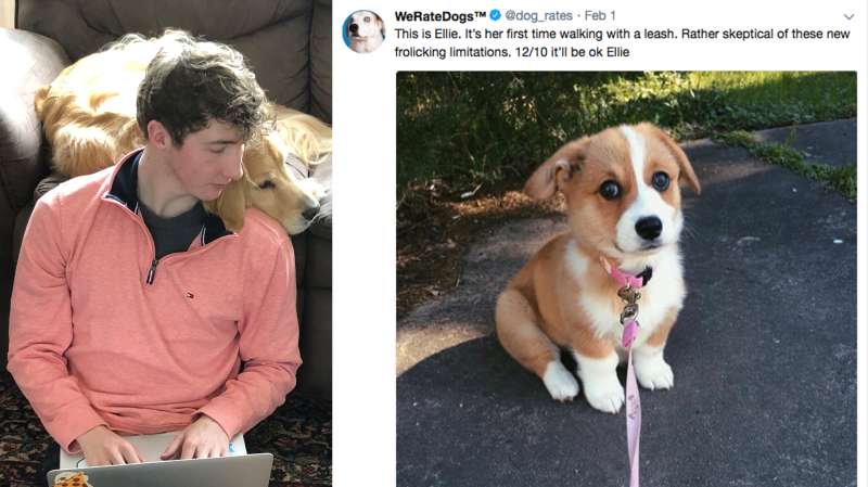 (left) Matt Nelson, founder of WeRateDogs; (right) Screenshot from WeRateDogs @dog_rates account on Twitter