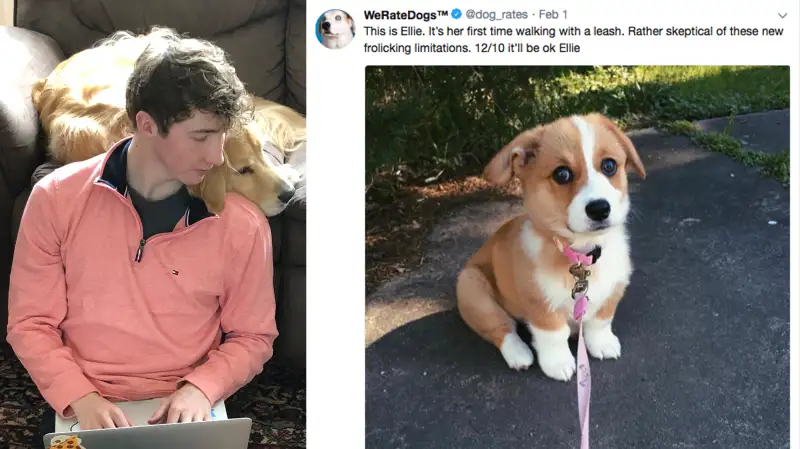 The 'Can You Pet The Dog' Twitter account is having a big impact