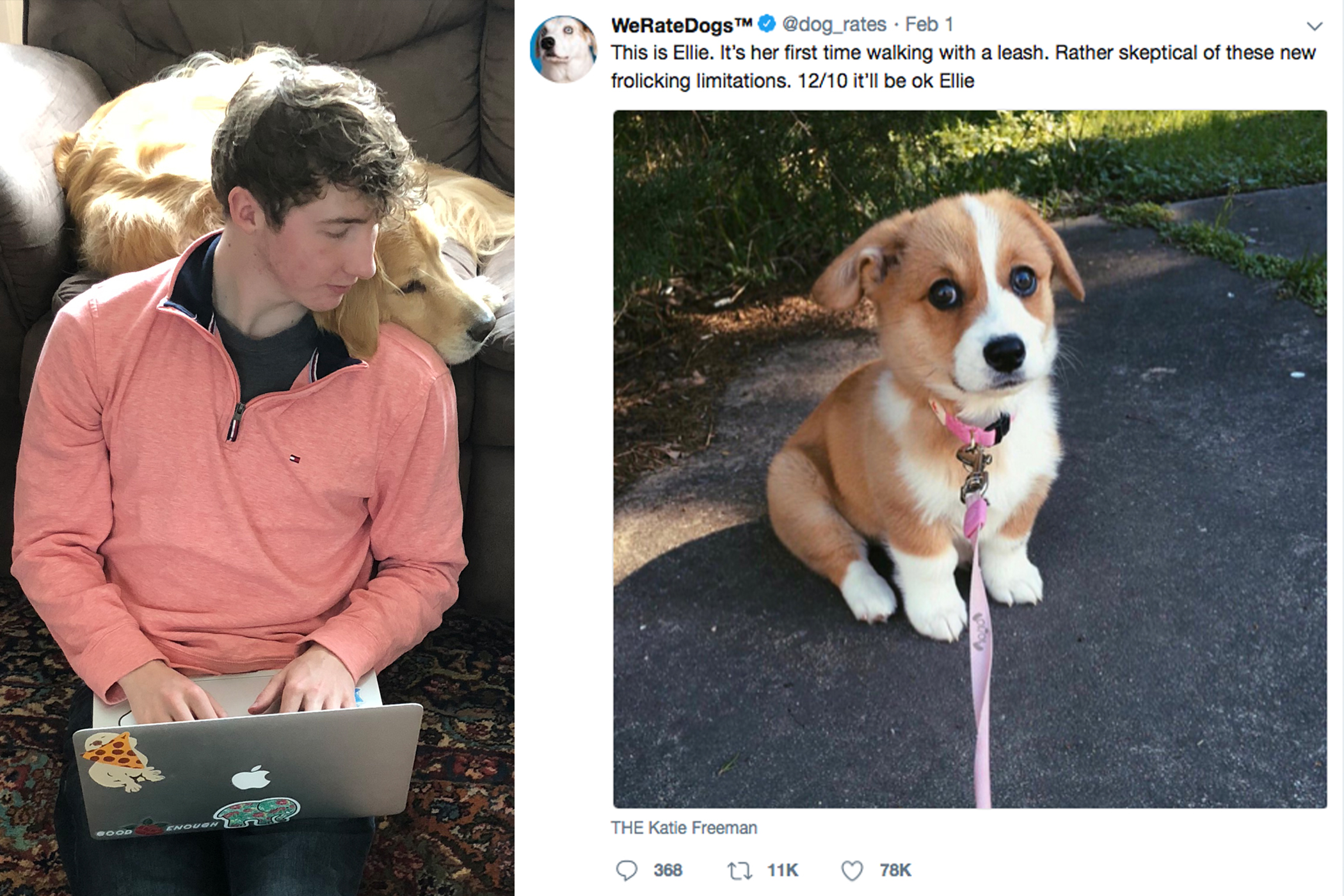 This 21-Year-Old Quit College to Rate Dogs on the Internet. He's Now Making Six Figures