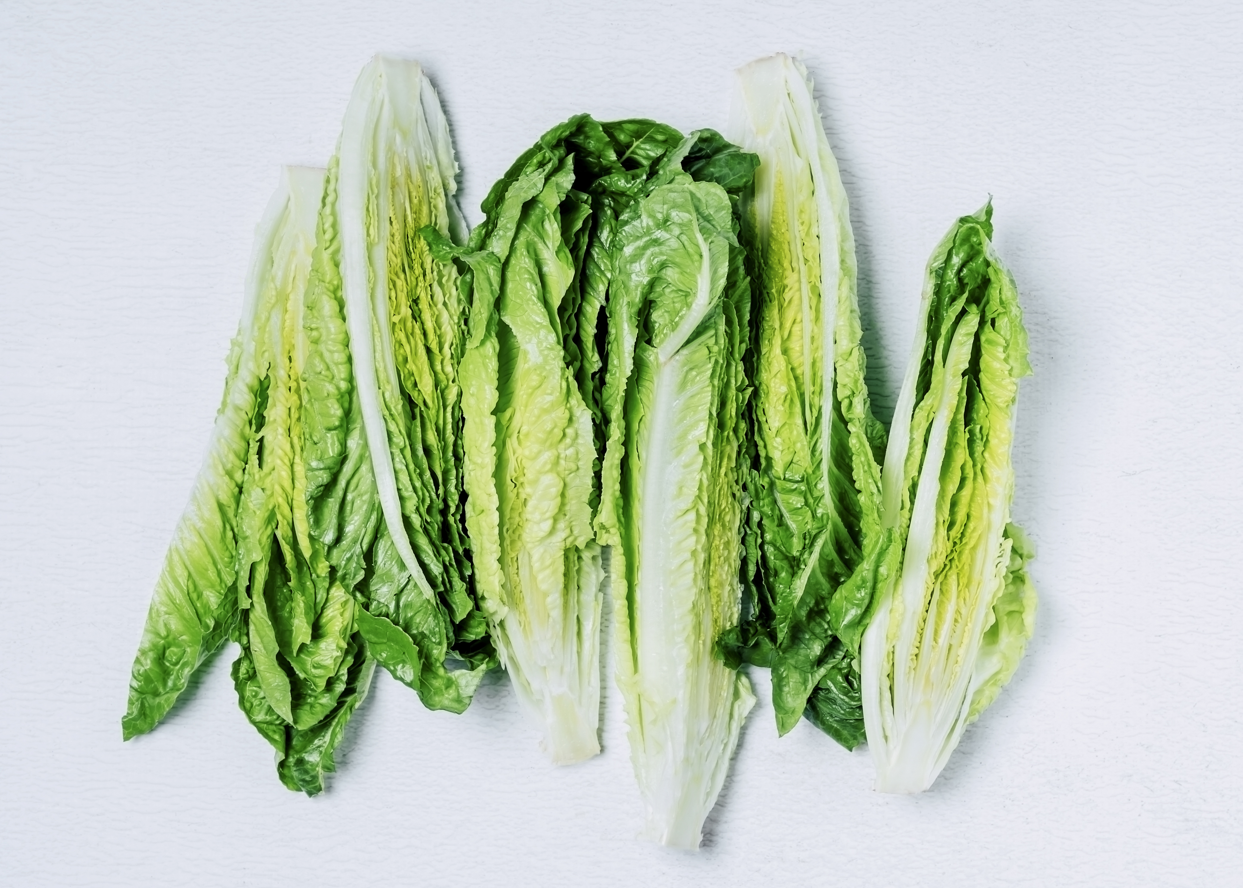 Stop Eating All Romaine Lettuce for Now, Consumer Reports Warns
