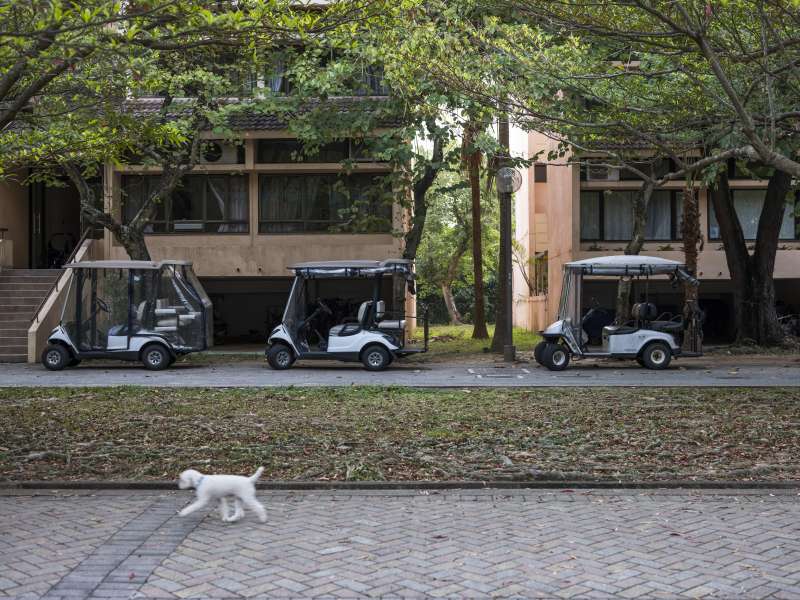 The $250,000 Golf Carts That Cost More Than a Tesla in Hong Kong