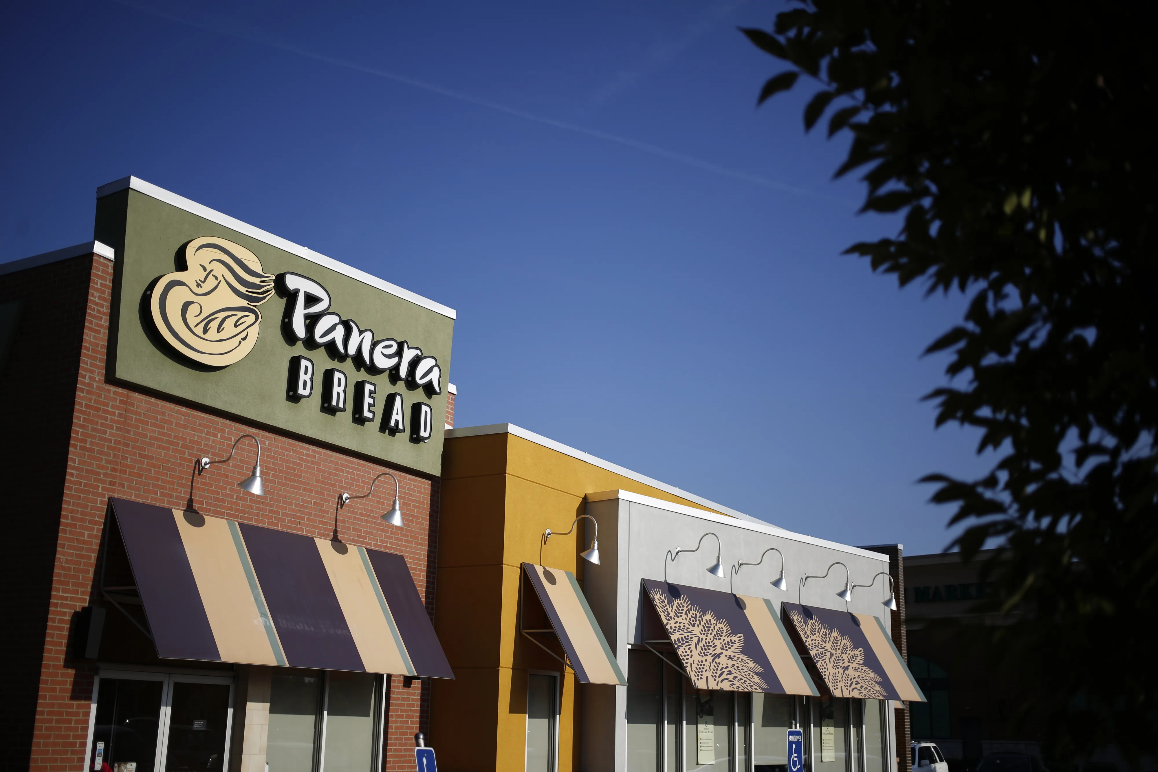 Panera Bread’s Website Is the Latest Big Data Breach. Here’s What to Know