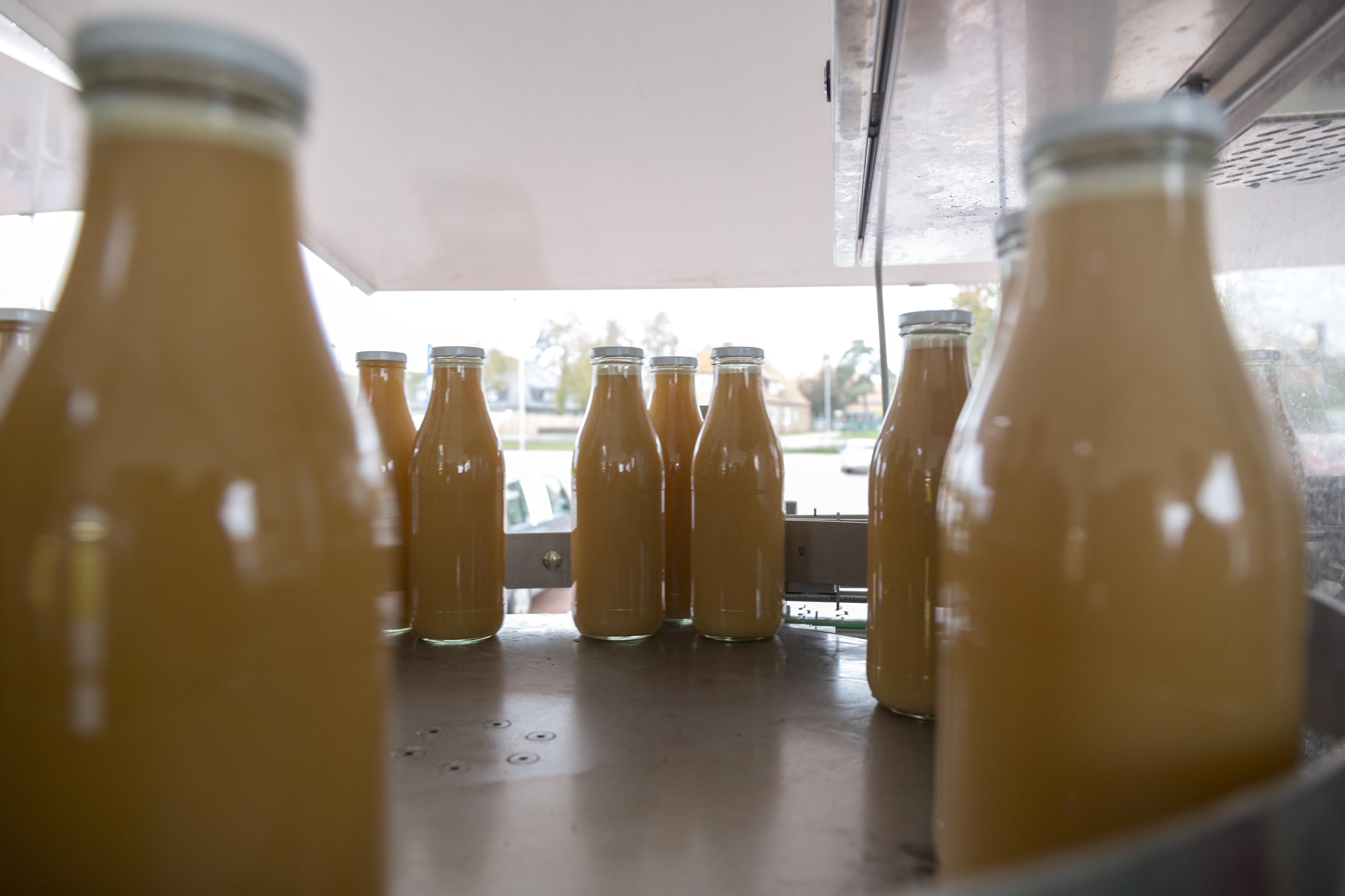 Apple juice is being bottled in a bottling plant