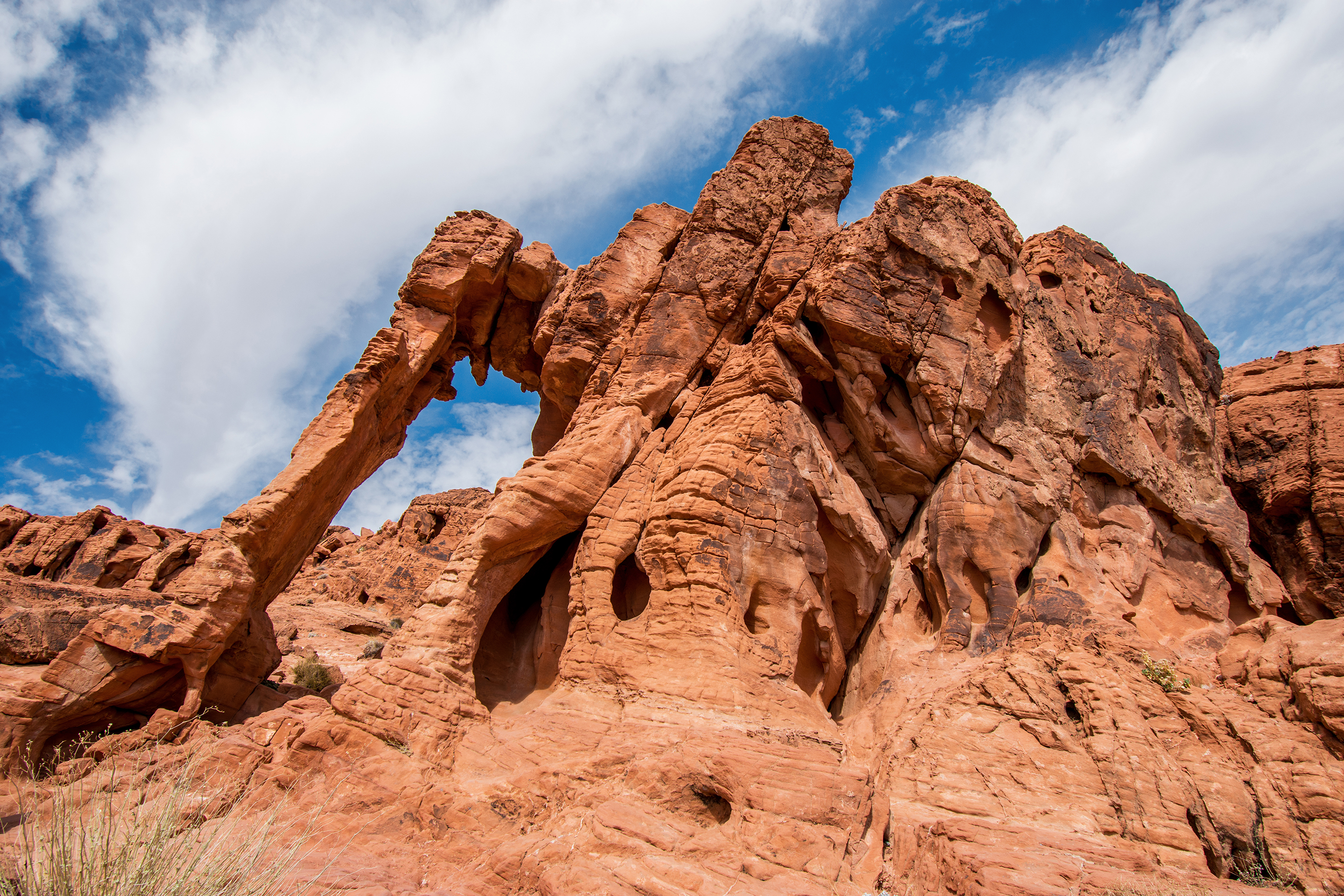 Elephant Rock in Valley of Fire State Park.