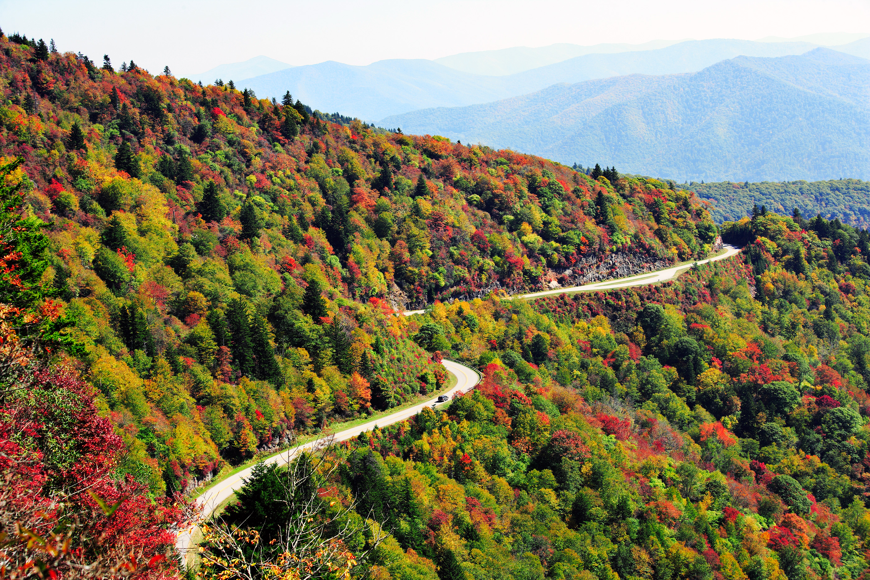 Road curving through Blue Ridge Parkway National Park, North Carolina