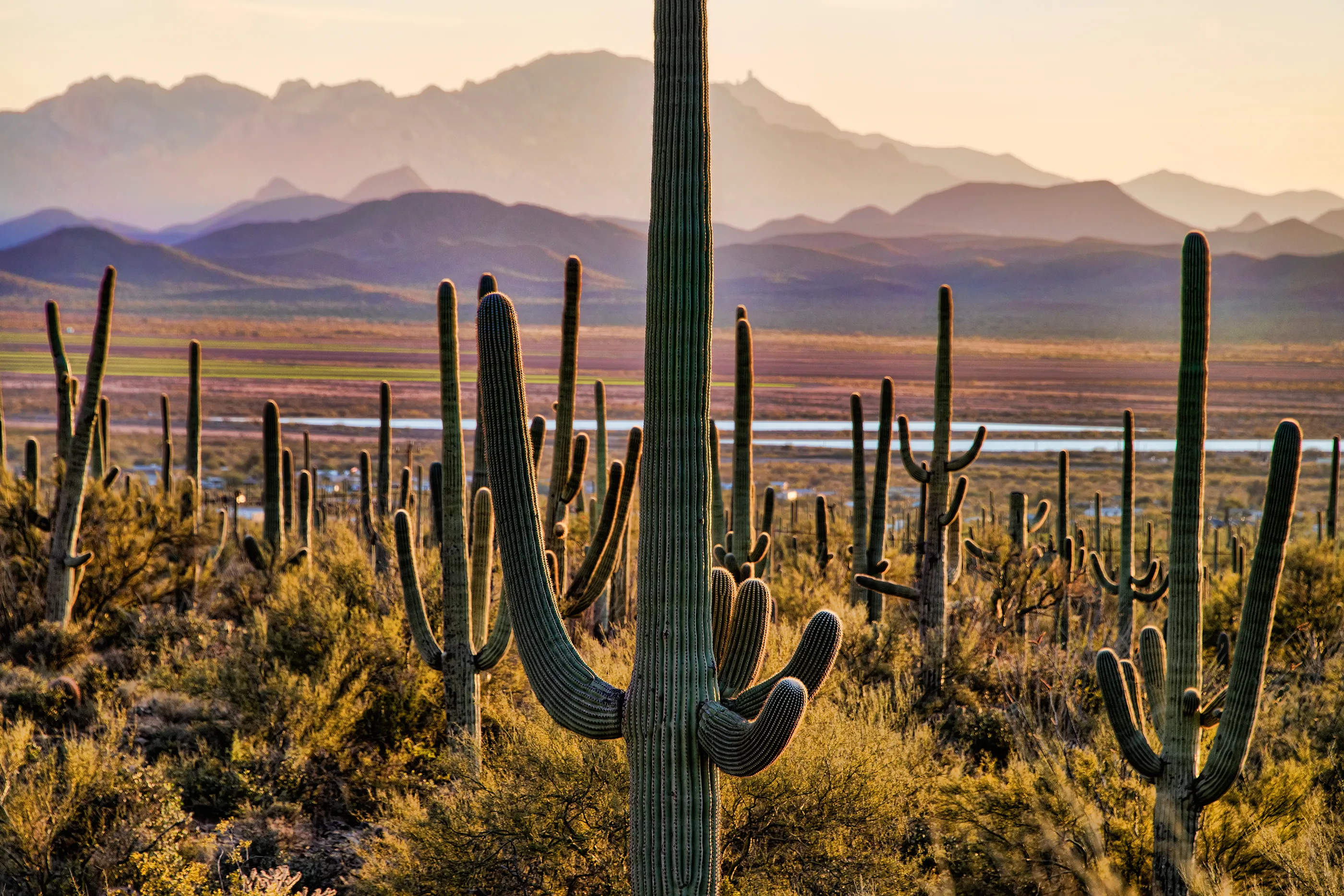 The 16 Best Saguaro National Park Hikes for Every Type of Explorer » The  Parks Expert