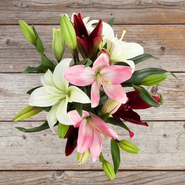 Mother's Day Lilies, from $40