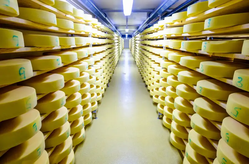 cheese warehouse