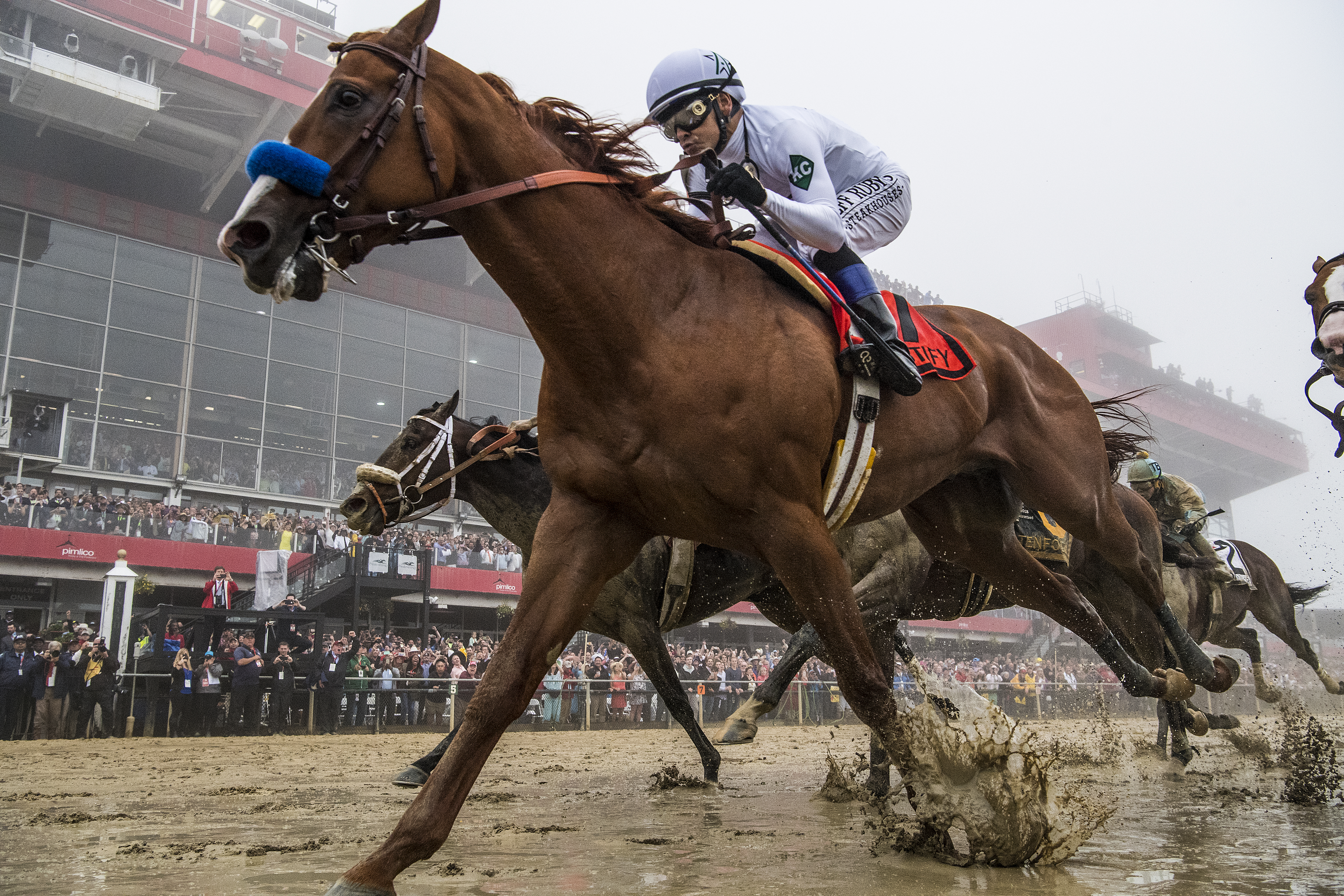 How to Watch the Race for the Triple Crown at the 2018 Belmont Stakes Online for Free