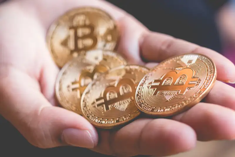 Cropped Hand Of Person Holding Bitcoins