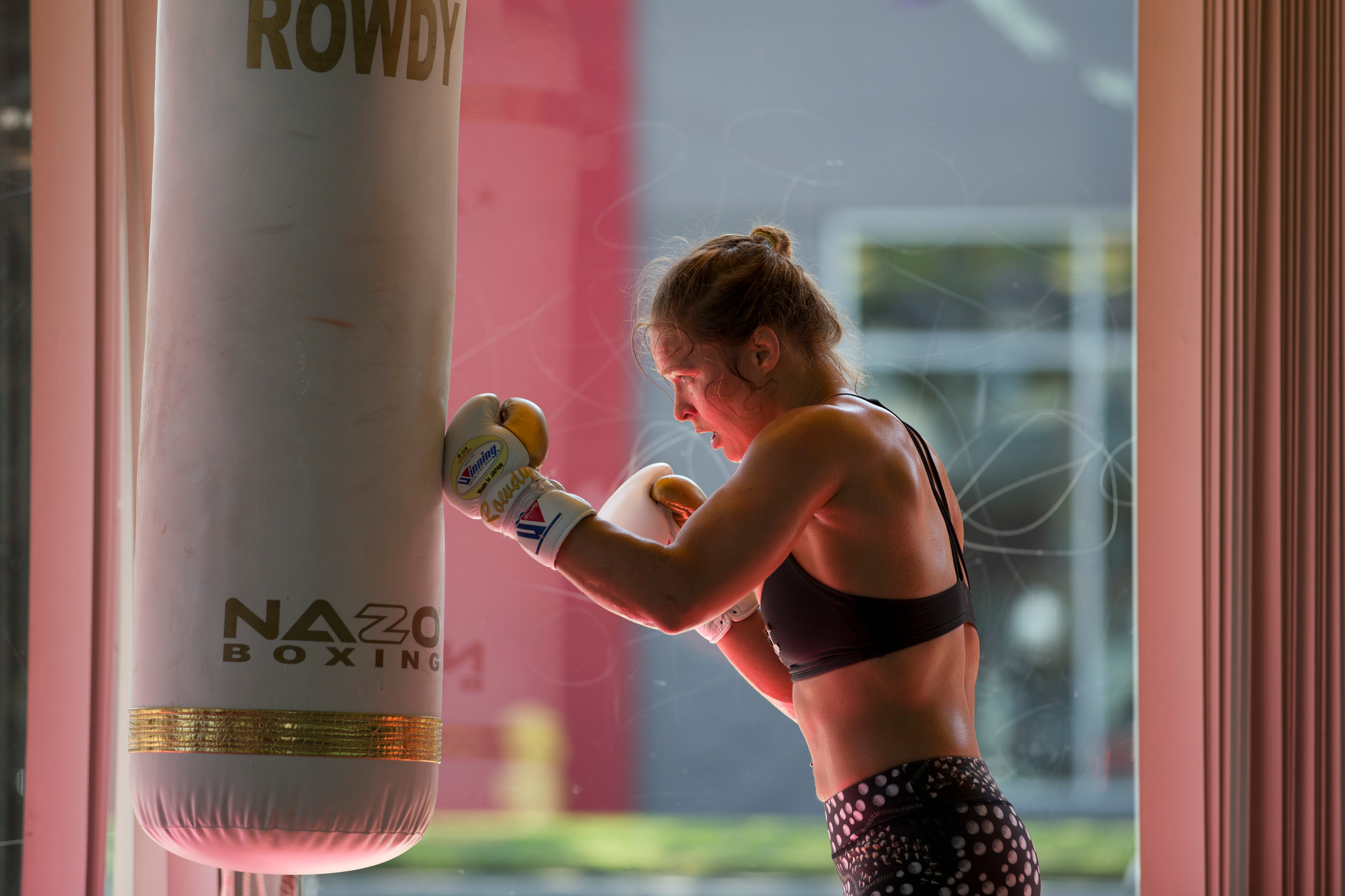 UFC Rousey Brazil, Glendale, USA