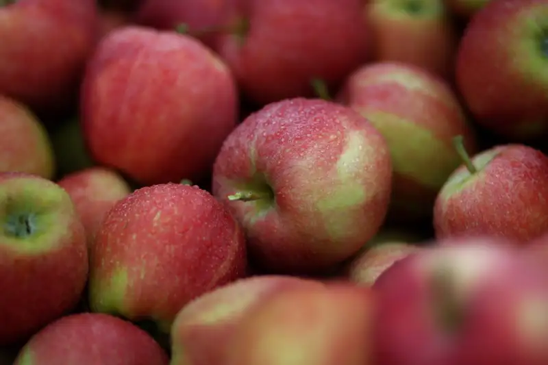  Gala Apples, Locally Grown, 2 Pounds : Grocery