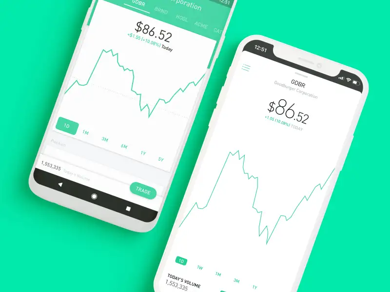 Robinhood Review