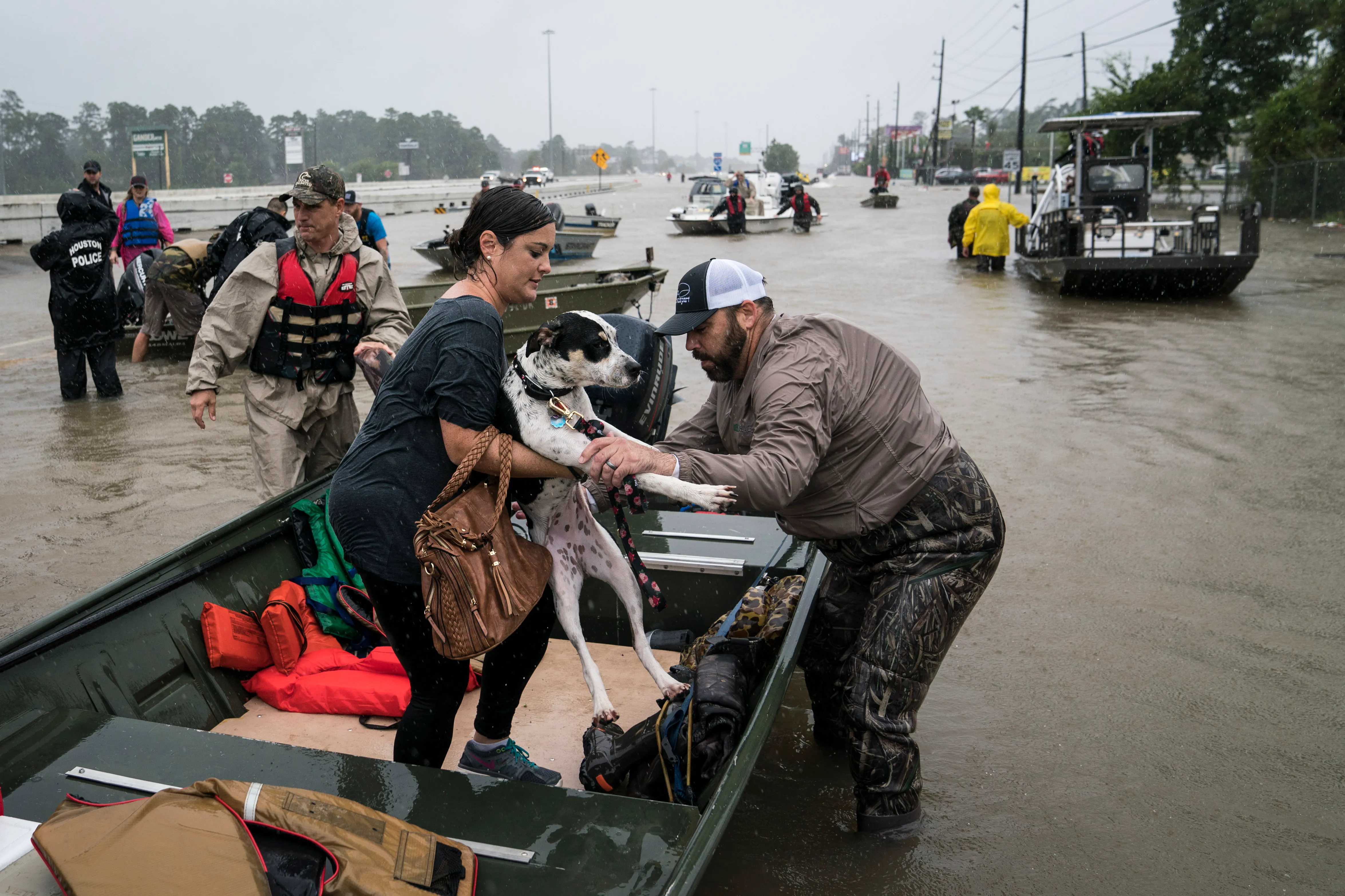 These Shelters Are Spending Thousands to Keep Animals Safe During Hurricane Florence. Here's How to Help