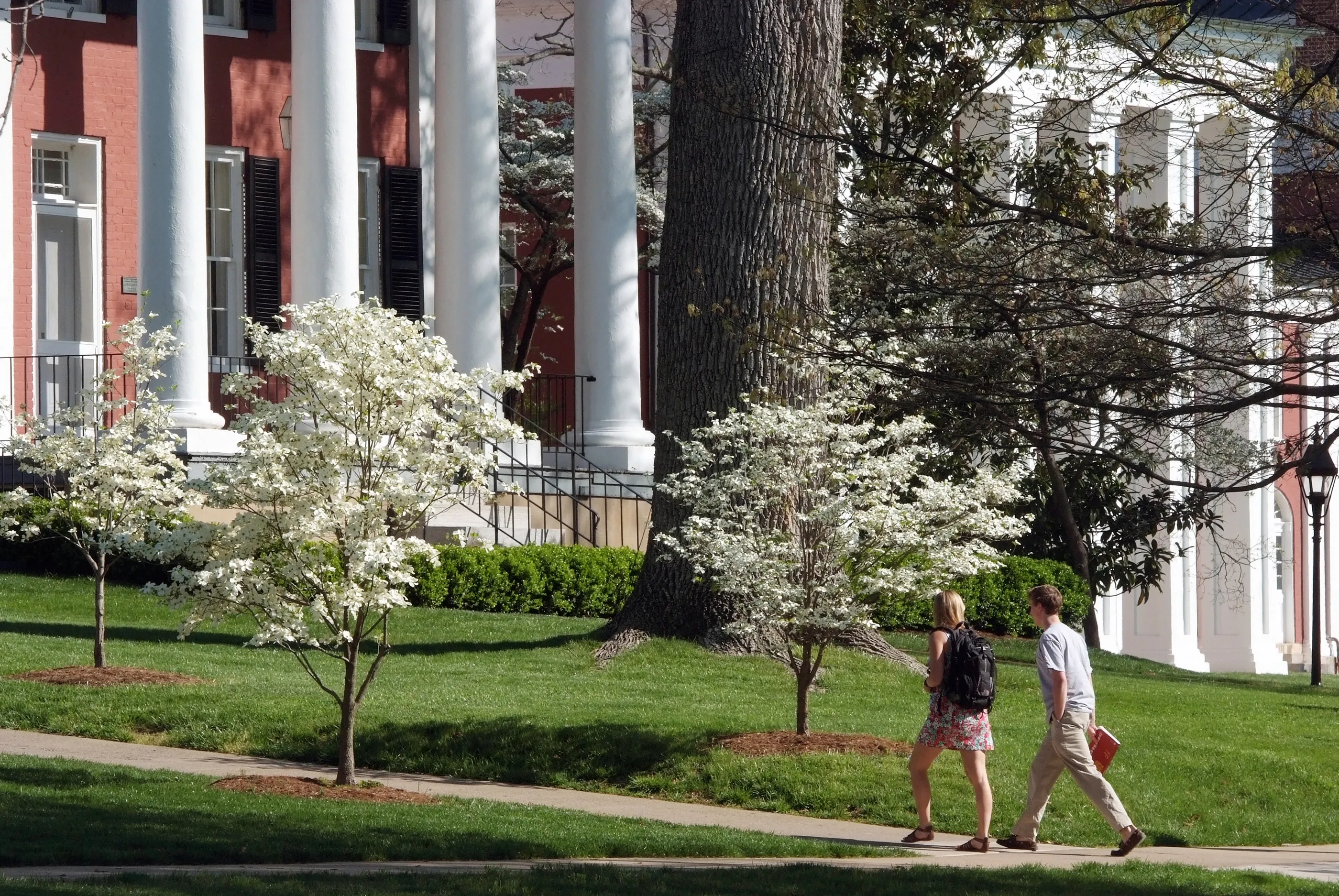 best university for business majors
