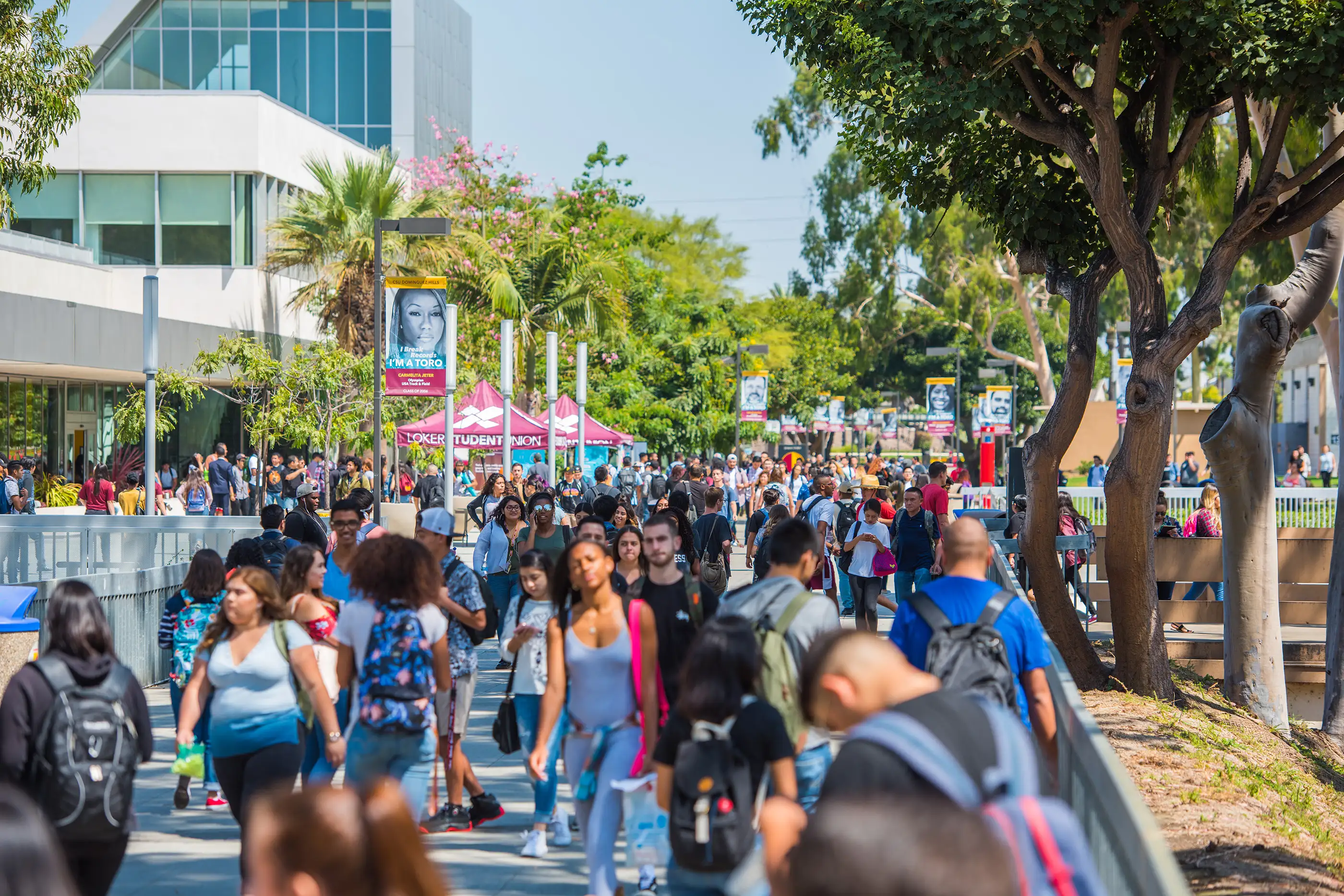 California State UniversityâDominguez Hills