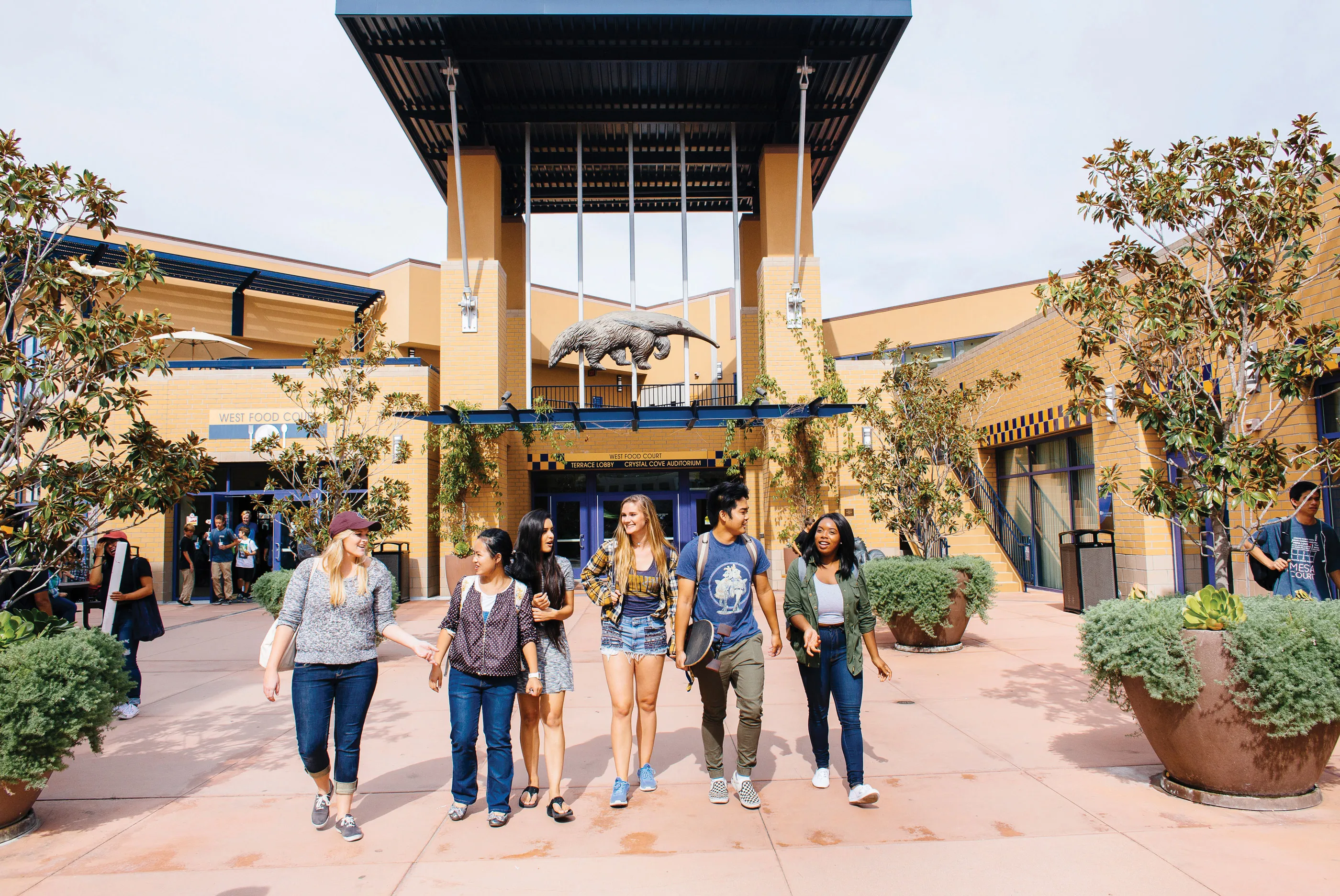 UC Irvine Transfer Acceptance Rate – CollegeLearners