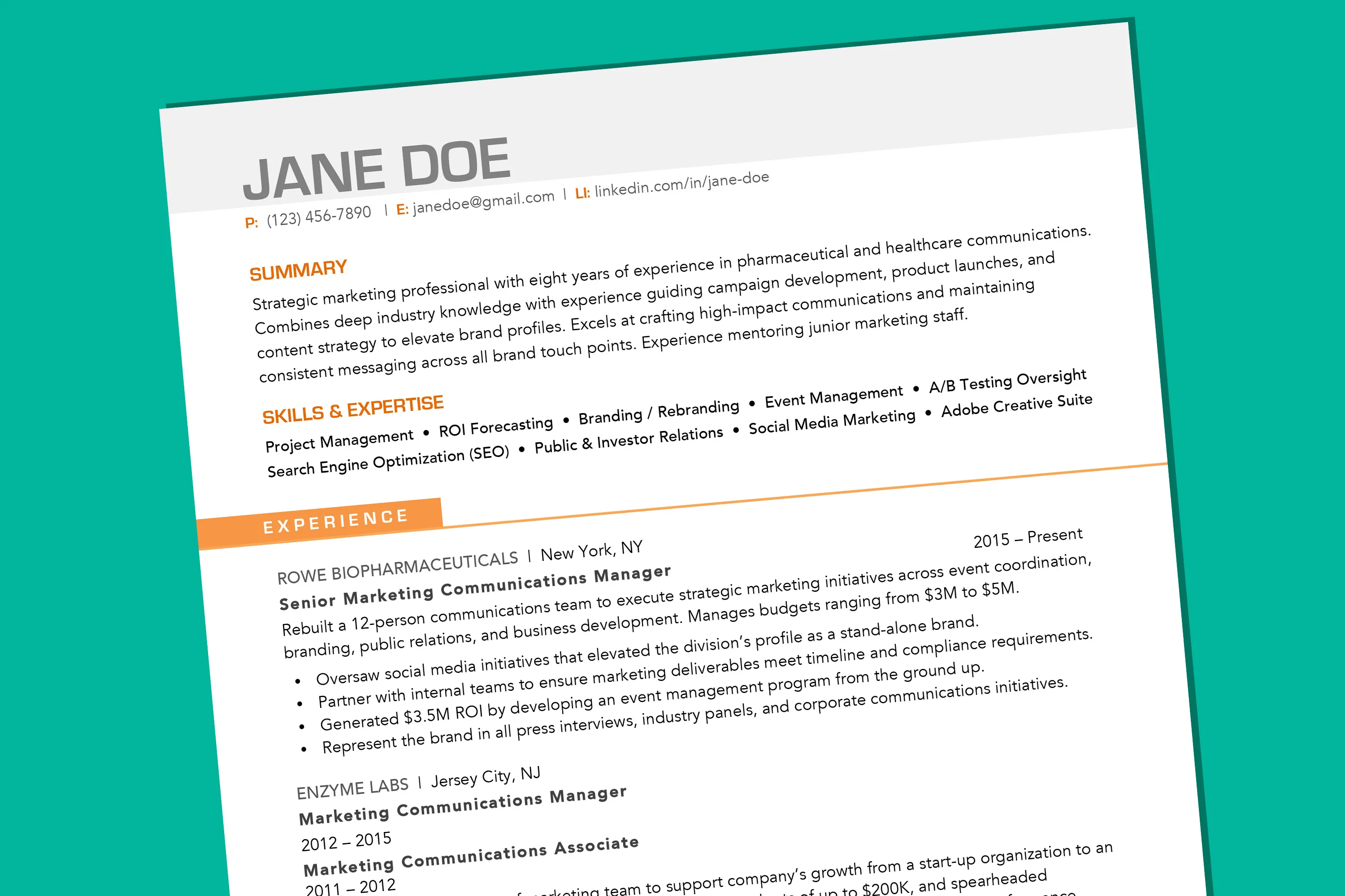 Professional & Creative Design Medical Resume Resume Template BEST