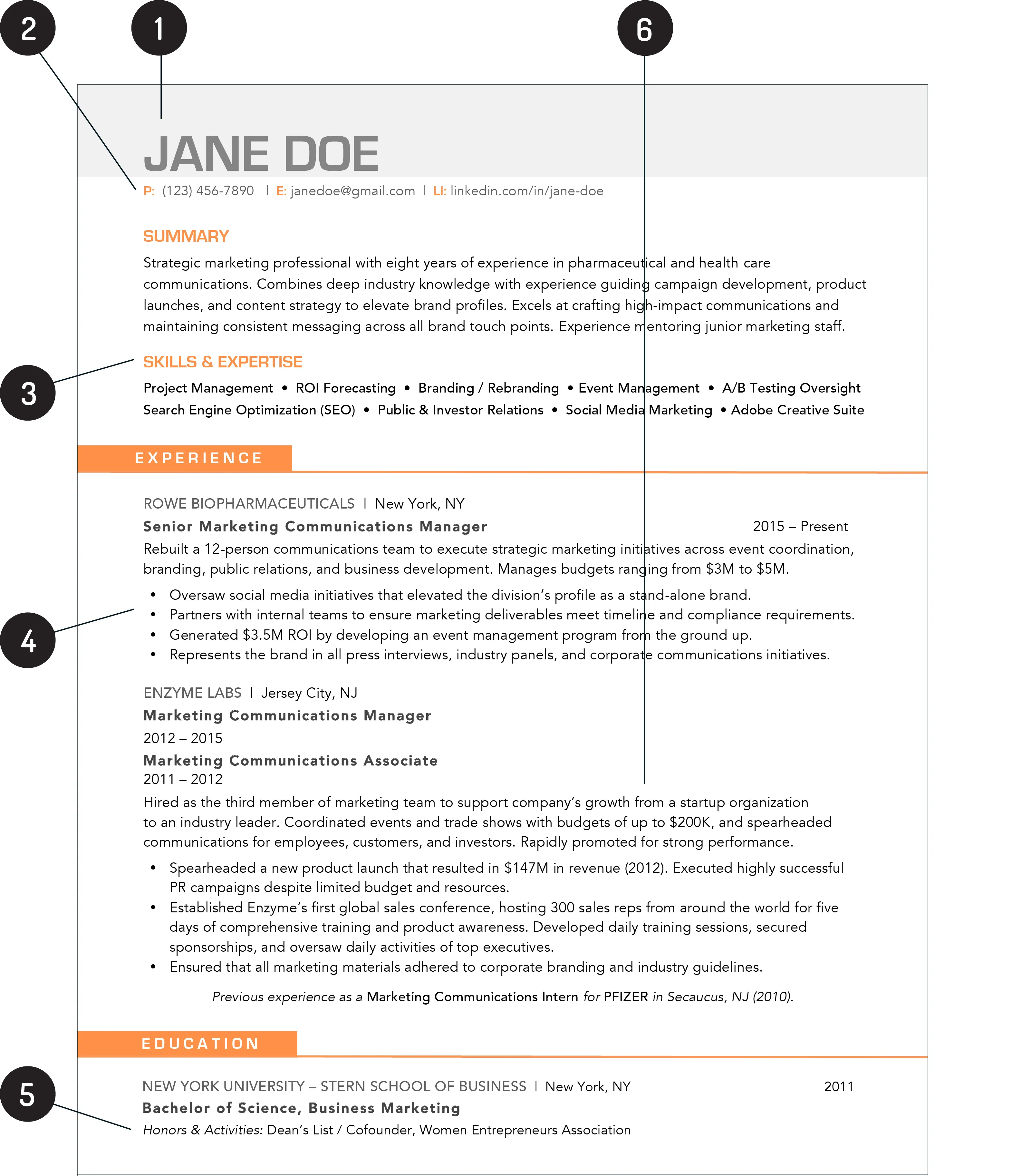 13+ Perfect Resume Examples For First Job Receipt Template Free Download