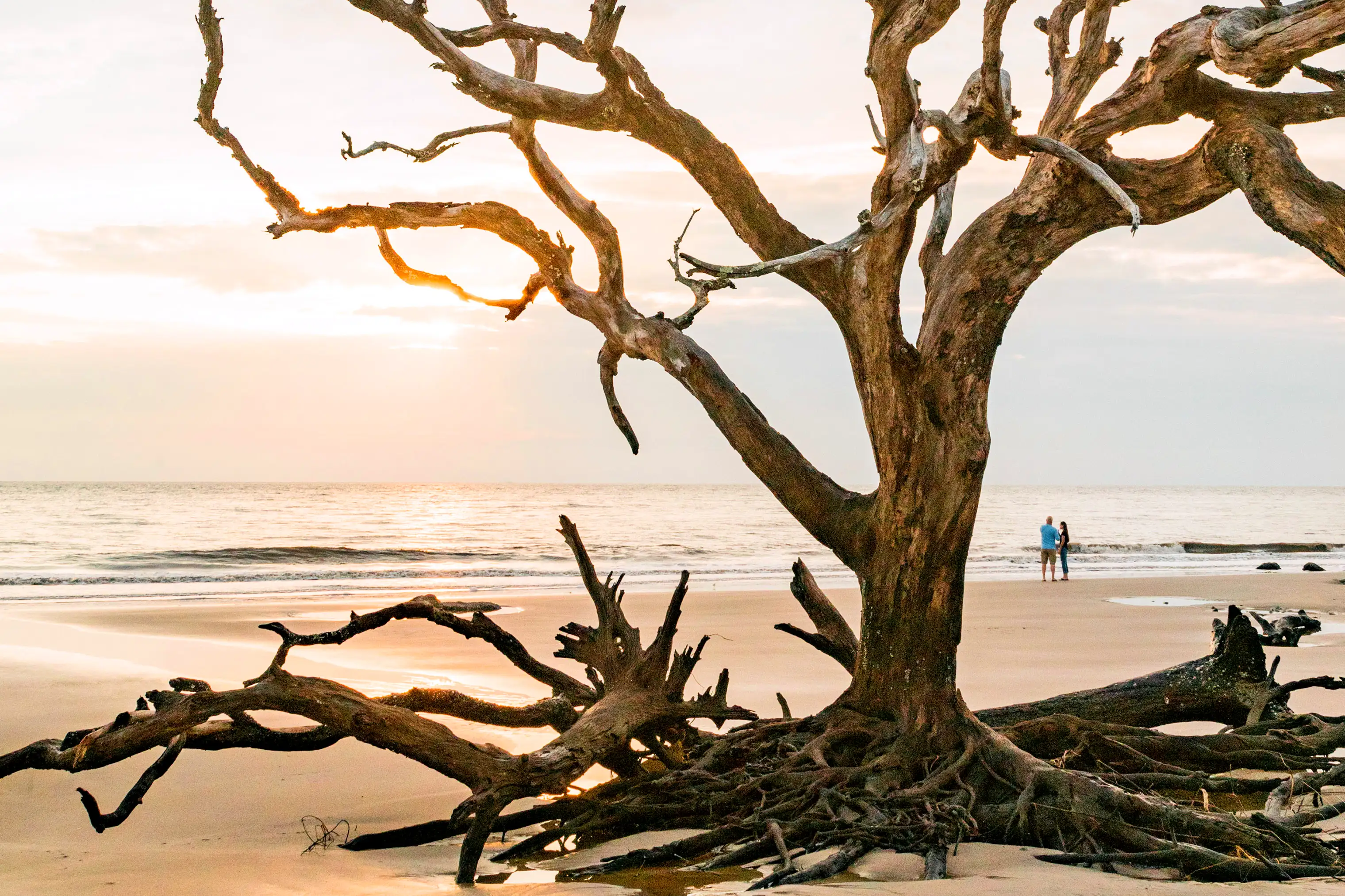 Jekyll Islandâ€™s Driftwood Beach features a shoreline unlike any other.