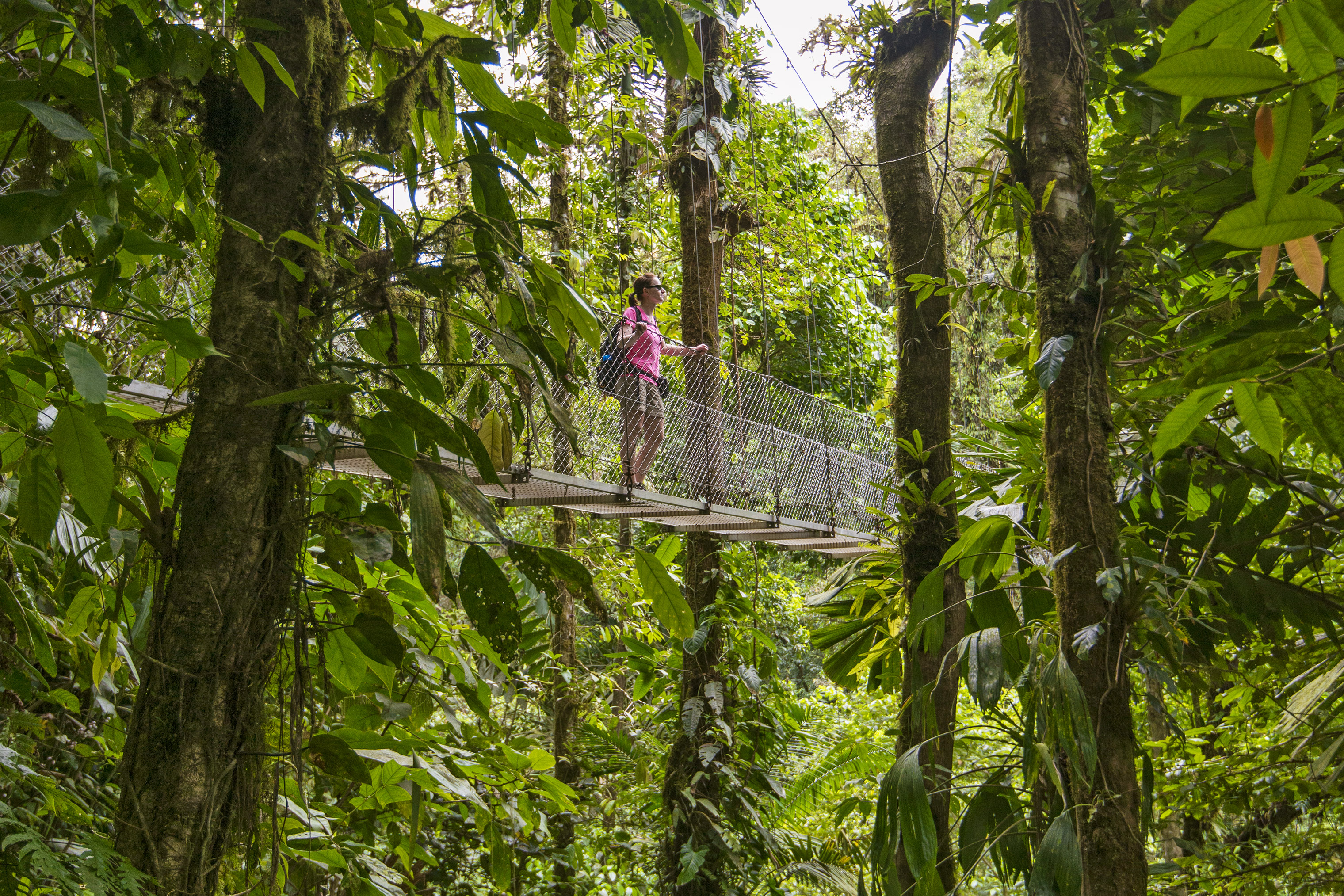 The Monteverde Cloud Forest Reserve gives visitors an up-close view of the regionâ€™s vast biodiversity.