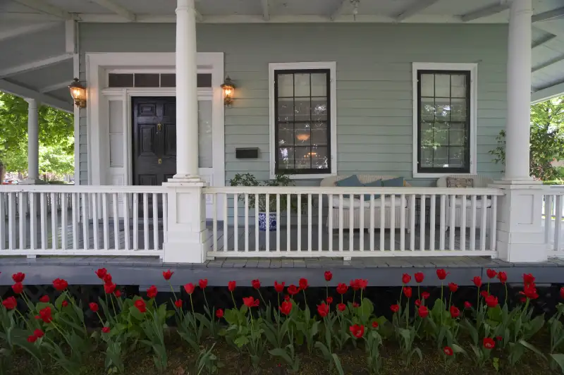 Tulips by the Porch