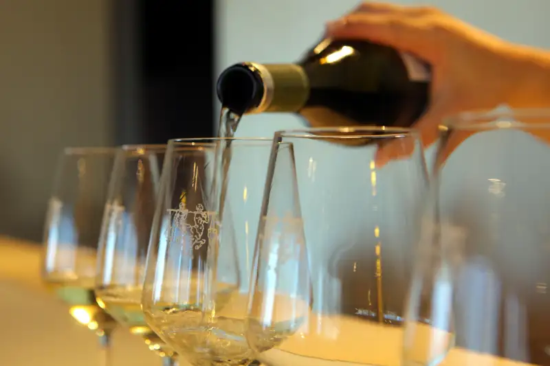 Wine Tourism in Spain