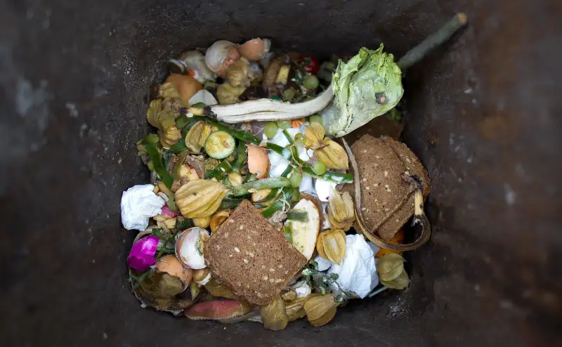 GERMANY-POLITICS-FOOD-WASTE