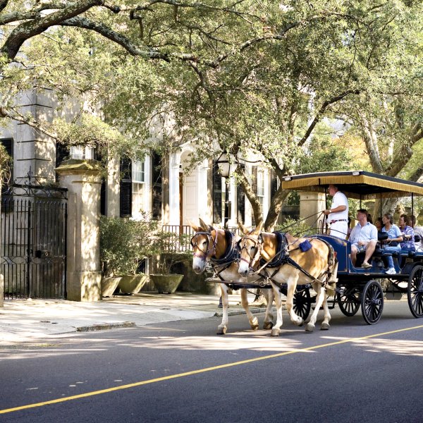 horse drawn carriage in Charleston South Carolina