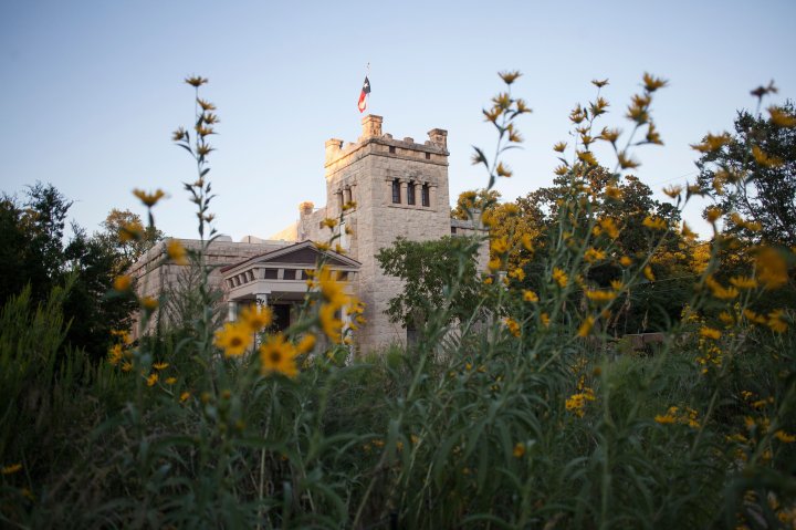 field of flowers with older building in the background in Hyde Park Austin, Texas