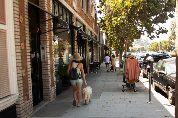 woman walking her dog on the sidewalk in eagle rock, los angeles, california