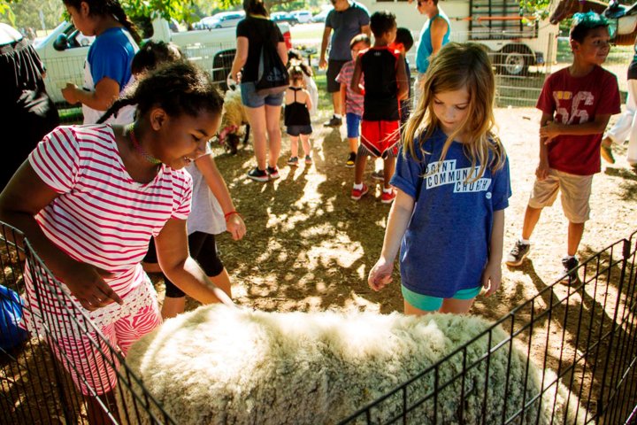 Children petting a lamb at a petting zoo in Franklin, New Jersey