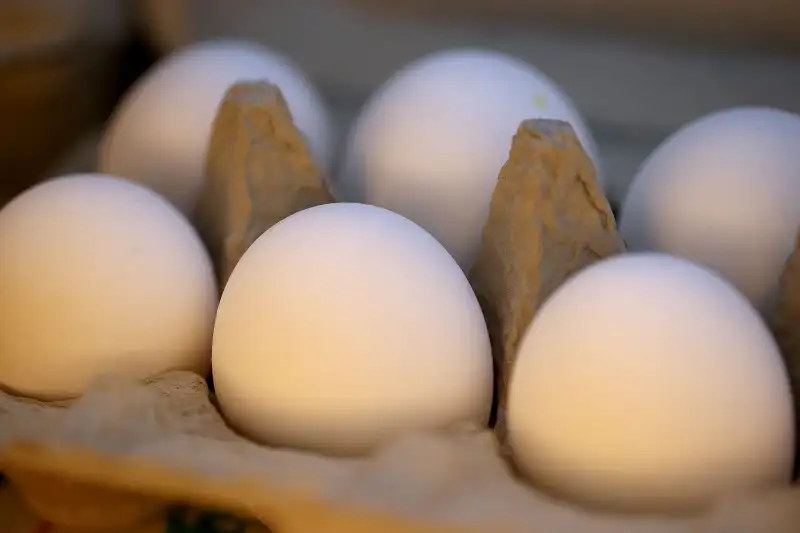 Egg Prices Continue Sharp Rise As Avian Flu Takes Tool On Supply